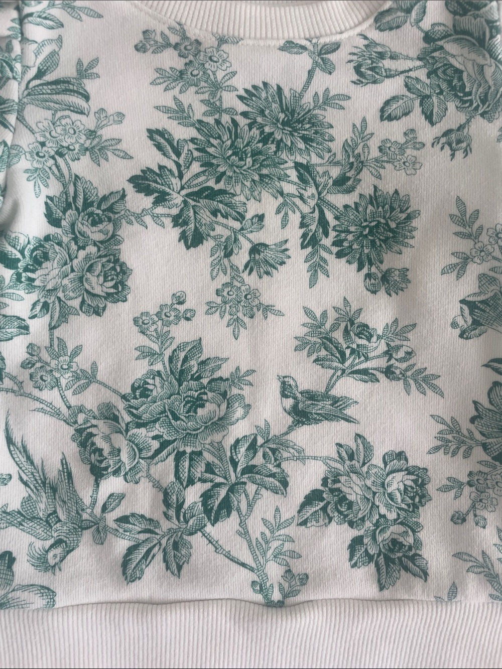Janie and Jack White Sweatshirt with Teal Green Nature Print 2T (EUC) - Picture 4 of 6